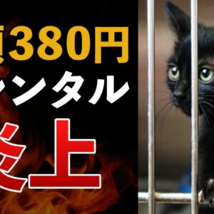 【炎上】月額380円で審査なし？猫レンタルサービスの裏に潜む闇…