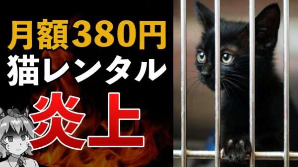 【炎上】月額380円で審査なし？猫レンタルサービスの裏に潜む闇…