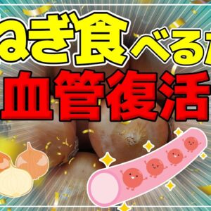 【ゆっくり解説】玉ねぎを毎日食べるだけ！動脈硬化の初期症状が改善！？【40代50代】