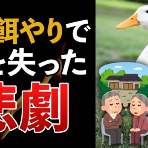 【悲劇】アヒルの餌やりで5000万円の家を失った老夫婦の災難…