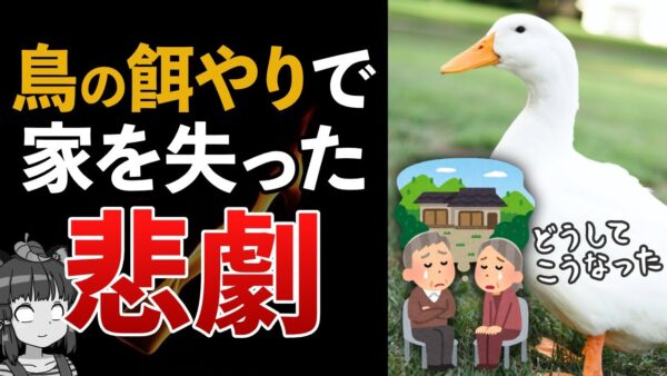 【悲劇】アヒルの餌やりで5000万円の家を失った老夫婦の災難…