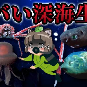 【奇妙】見た目がヤバすぎる深海生物7選