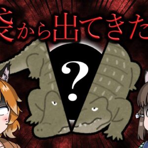 【丸呑み】ワニ・ヘビの胃袋から出てきた驚愕の○○8選