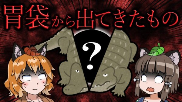 【丸呑み】ワニ・ヘビの胃袋から出てきた驚愕の○○8選