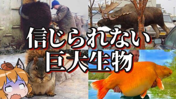 【BIG】信じられないサイズの巨大生物8選 -パート3-