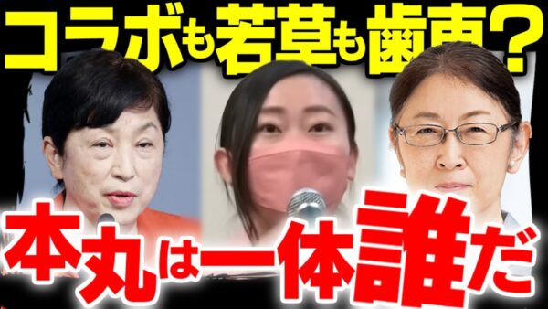 【ゆっくり解説】日本に『スパイと公金着服』を教えたのは誰か【Colabo・仁藤夢乃問題】