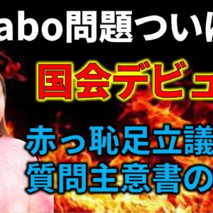 【政治まとめ】Colabo問題、国会で質問されてしまう&ツイデモが分析された結果が酷いwww