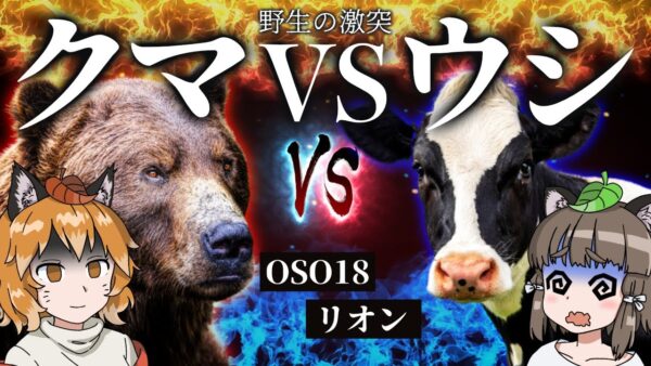 【OSO18】巨大ヒグマVS最強ウシ！？北海道で暴れまわるクマの行方とは…