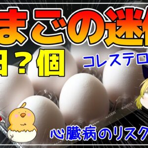 【ゆっくり解説】卵を毎日食べると…コレステロールが上がるは迷信！心臓病のリスクが減る