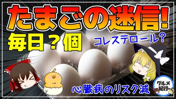 【ゆっくり解説】卵を毎日食べると…コレステロールが上がるは迷信！心臓病のリスクが減る