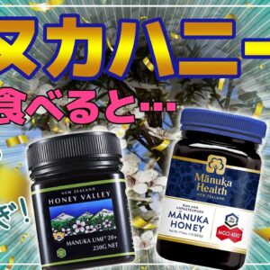 【ゆっくり解説】マヌカハニーを毎日食べると…本当にすごいの？その秘密について