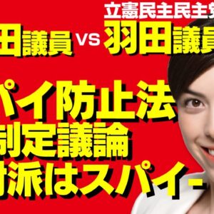小野田議員に突っかかる立憲民主党羽田議員！韓国・中国・北朝鮮スパイガン無視の謎【ゆっくり解説】