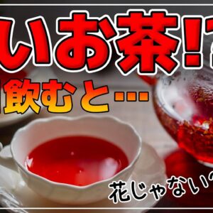 【ゆっくり解説】認知症改善！赤いお茶を毎日飲むと…高血圧改善や疲労回復！抗酸化作用も