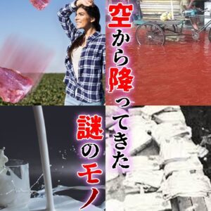 【ゆっくり解説】肉から粉ミルクまで！空から降ってきた謎のモノについて語るぜ！