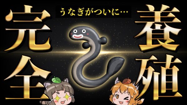 【新時代】うなぎの完全養殖ついに成功！将来は安くて美味しいウナギ食べ放題？