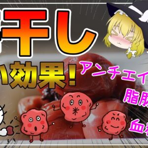 【ゆっくり解説】梅干しを食べないのはもったい！1粒の中に含まれる栄養素が凄すぎる件について！驚くべき健康効果！【40代50代】