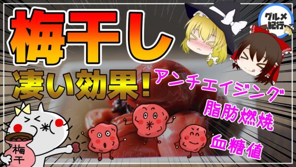 【ゆっくり解説】梅干しを食べないのはもったい！1粒の中に含まれる栄養素が凄すぎる件について！驚くべき健康効果！【40代50代】