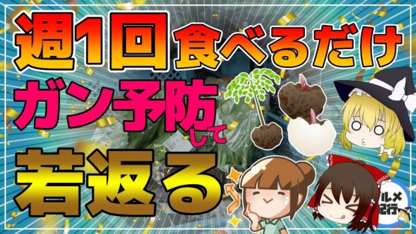 【ゆっくり解説】週1回食べるだけ！ガンも予防して肌がみるみる若返る超意外な食べ物【40代50代】