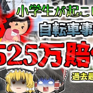 【2008年兵庫】子供が自転車で女性に激突 相手が植物状態となり賠償金9525万請求 過去最高額 【ゆっくり解説】