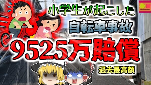 【2008年兵庫】子供が自転車で女性に激突 相手が植物状態となり賠償金9525万請求 過去最高額 【ゆっくり解説】