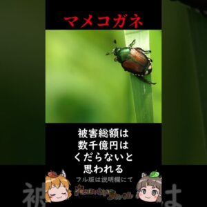 【逆特定外来生物】海外で暴れている日本の生き物3選 パート2 #shorts