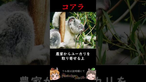 食費が高すぎる生き物3選 #shorts