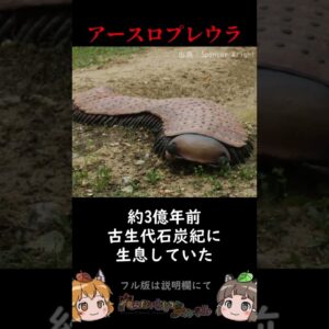 古代に実在した衝撃の巨大生物3選 #shorts