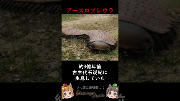 古代に実在した衝撃の巨大生物3選 #shorts