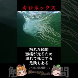 【超絶注意】絶対近づいてはいけない猛毒の生き物3選 #shorts
