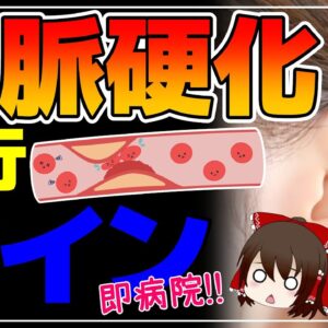【ゆっくり解説】要注意！動脈硬化の見逃してはいけない危険なサイン【40代50代】