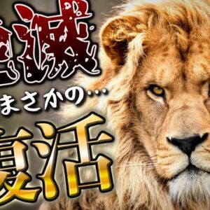 【驚愕】絶滅から奇跡の復活を果たした生き物6選 -パート2-