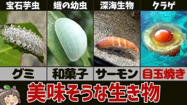【飯テロ】見た目が美味しそうな生き物9選