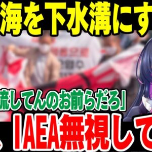 【IAEAなんざ知らん】韓国、福島原発の風評被害に乗っかりまくる【超ブーメラン】