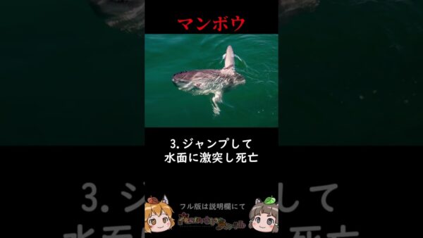 マンボウがあまりにも最弱過ぎる #shorts