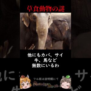 【雑学】草食動物はなぜあんなにデカいのか #shorts