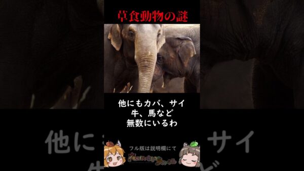 【雑学】草食動物はなぜあんなにデカいのか #shorts
