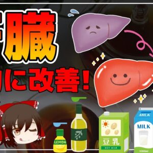 【ゆっくり解説】肝臓がきれいになり若返る！肝機能を劇的に改善するまとめ総集編【ゆっくりグルメ紀行】