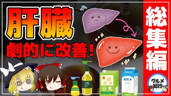 【ゆっくり解説】肝臓がきれいになり若返る！肝機能を劇的に改善するまとめ総集編【ゆっくりグルメ紀行】