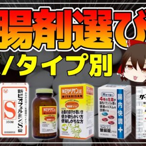 【ゆっくり解説】賢い整腸剤選び！乳酸菌と酪酸菌？症状別・タイプ別の整腸剤の選び方