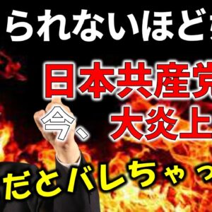 【ゆっくり解説】共産党がヤバすぎる政党だと世間にバレたようです