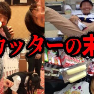 絶対に許すな！最低すぎるバカッターの末路１０選【ゆっくり解説】
