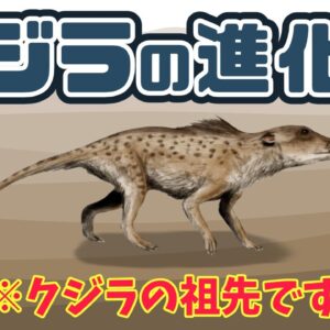 【謎だらけ】クジラの進化史｜クジラはどうして海に戻った？