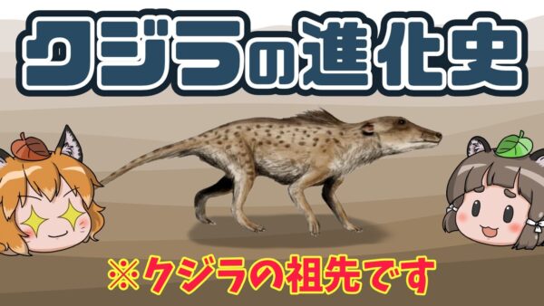 【謎だらけ】クジラの進化史｜クジラはどうして海に戻った？