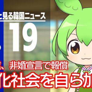 【ずんだもんとみるニュース】韓国、少子化を加速させる施策を企業が展開する模様【滅亡が加速する】