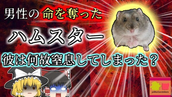 【2004年埼玉】ハムスターに噛まれ、突然息ができなくなり心肺停止状態で運ばれた男性亡くなる 【ゆっくり解説】