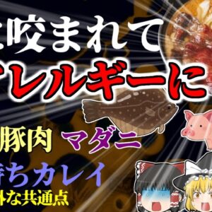 【2005年島根】虫に咬まれて肉アレルギーに？ 煮つけを食べてアナフィラキシーショック！ 同時期に突然運ばれてきた患者たちの意外な共通点  背景には島根特有の事情が 【ゆっくり解説】