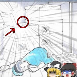 【2005年東京】保冷庫から見つかった遺体…たったの数分目を離しただけで…冷凍の魚と一緒に倒れていた男性に一体何があった？『ドライアイスの危険』【ゆっくり解説】