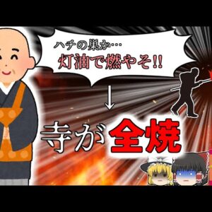 【2008年新潟】お坊さん「ハチの巣がある…ヨシ、燃やして駆除しよう」→顔面をスズメバチに刺され、寺が全焼【ゆっくり解説】