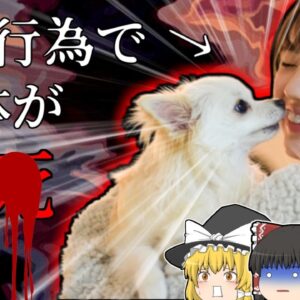 【2015年ｶﾅﾀﾞ】主婦を襲った手足が真っ黒に変色する謎の症状…原因は愛犬たち？『カプノサイトファーガ』【ゆっくり解説】