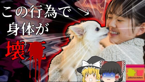 【2015年ｶﾅﾀﾞ】主婦を襲った手足が真っ黒に変色する謎の症状…原因は愛犬たち？『カプノサイトファーガ』【ゆっくり解説】